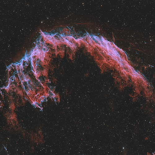 NGC 6995